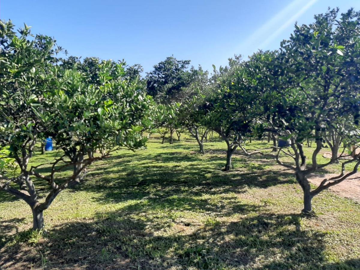 Casa Di Pecora - Pousada Rural ラウロ・ミュラー エクステリア 写真