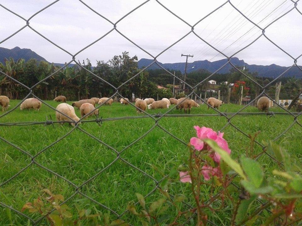 Casa Di Pecora - Pousada Rural ラウロ・ミュラー エクステリア 写真